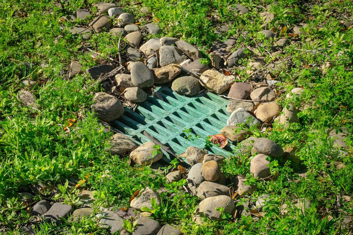 Grille d'avaloir pluvial entourée de galets dans une pelouse